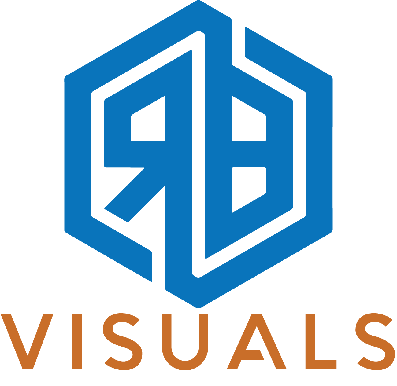RB VISUAL LOGO